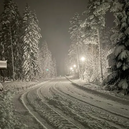 公寓 Sappee Peak - Fire, Snow & Adventure Salmentaka