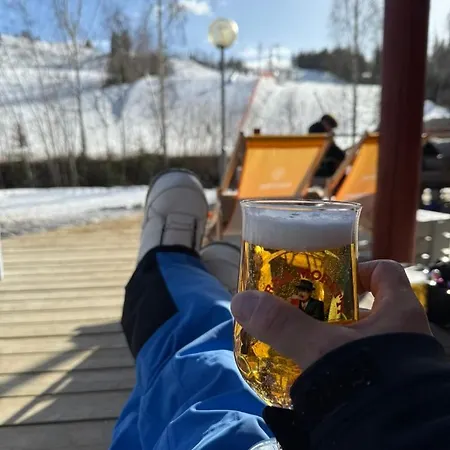 公寓 Sappee Peak - Fire, Snow & Adventure *