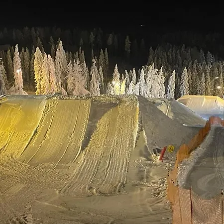 公寓 Sappee Peak - Fire, Snow & Adventure Salmentaka