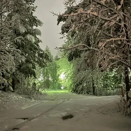 Sappee Peak - Bike, Fire, Snow & Adventure * Salmentaka
