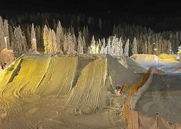 Apartment Sappee Peak - Fire, Snow & Adventure Salmentaka