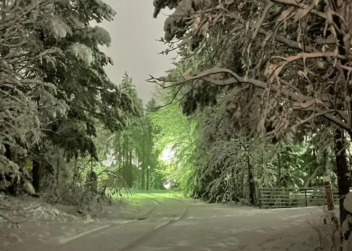 Sappee Peak - Fire, Snow & Adventure * Salmentaka